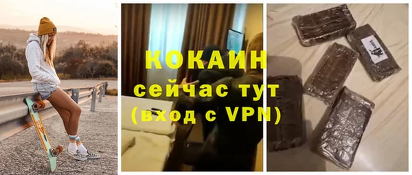 прущие грибы Бородино