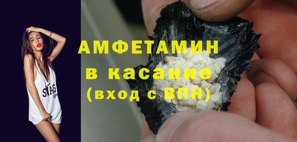 прущие грибы Бородино
