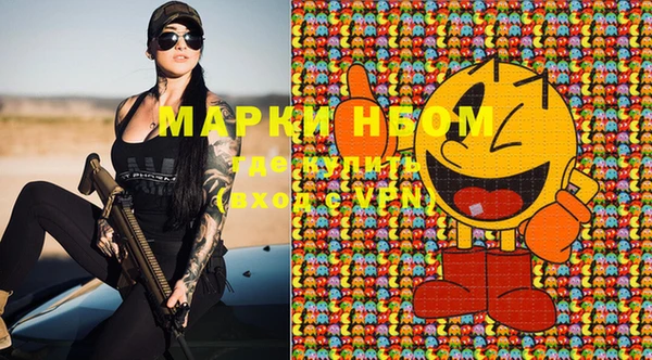 прущие грибы Бородино