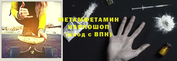 прущие грибы Бородино