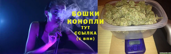 прущие грибы Бородино