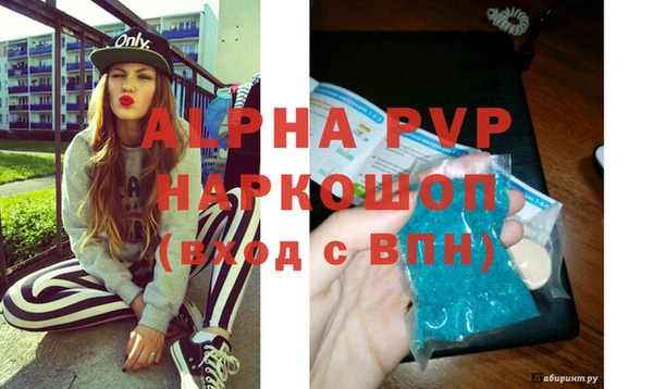 прущие грибы Бородино