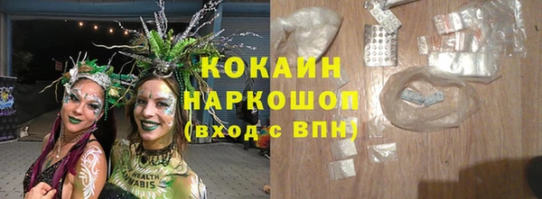 прущие грибы Бородино
