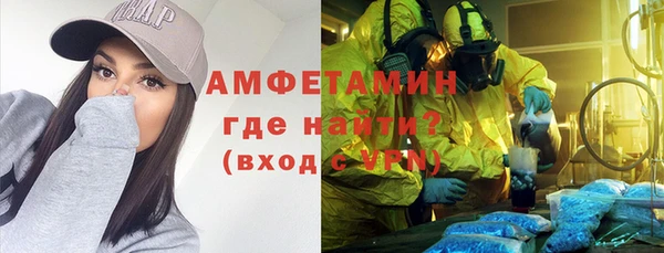 прущие грибы Бородино