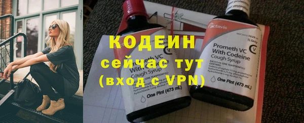 прущие грибы Бородино