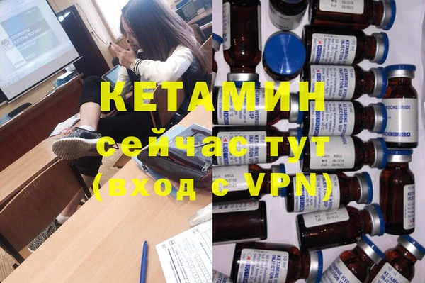 прущие грибы Бородино