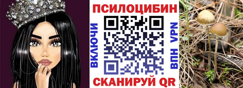 Купить закладки  Новоаннинский  Псилоцибиновые грибы ЛСД 