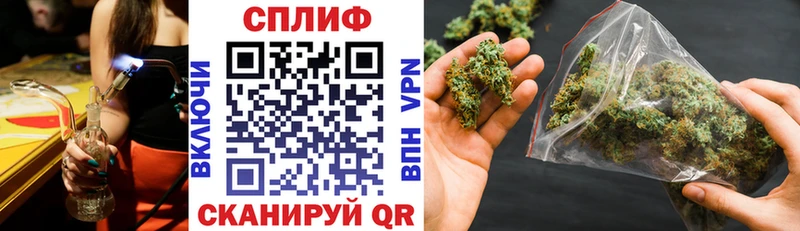 Купить где  Новоаннинский  Бошки Шишки семена 
